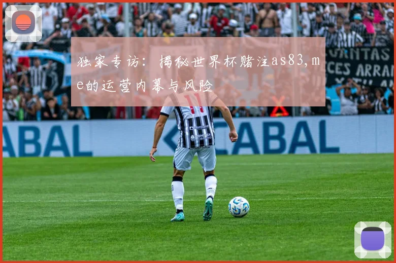 独家专访：揭秘世界杯赌注as83,me的运营内幕与风险