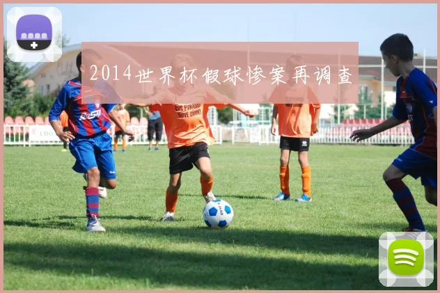 2014世界杯假球惨案再调查